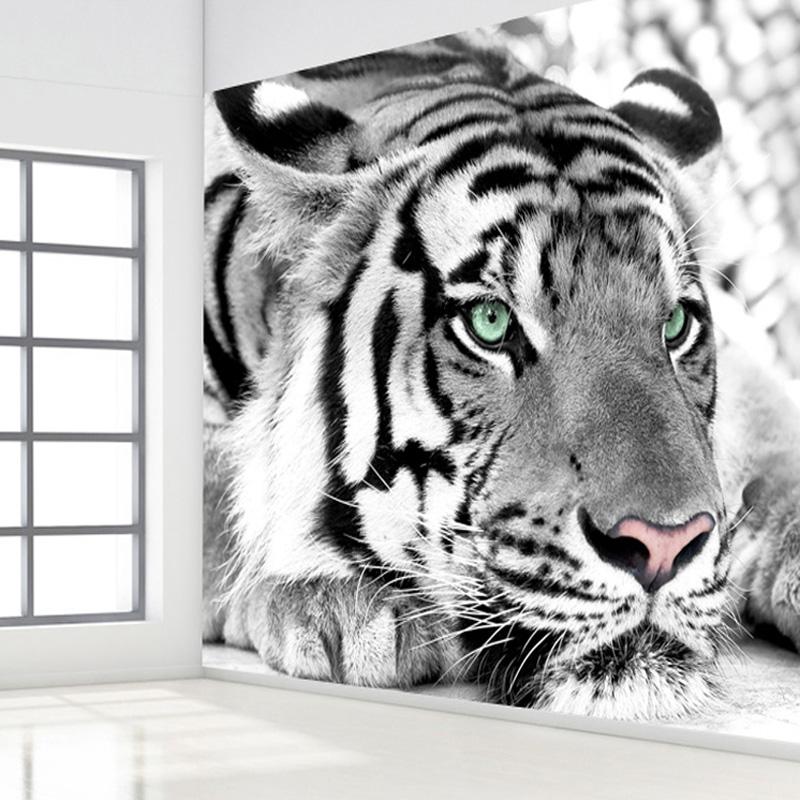 Papier Peint Tigre Blanc - HD Wallpaper 