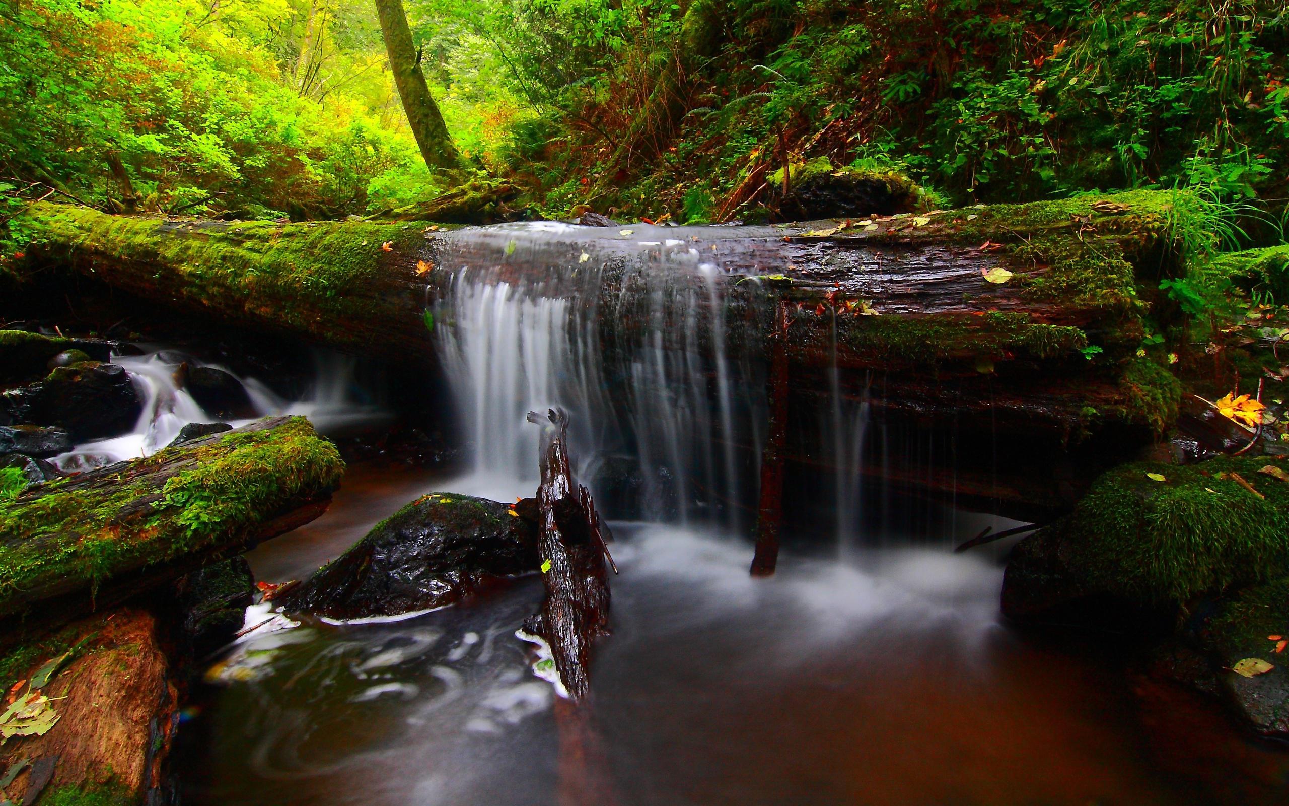 Hd Forest River Timber Waterfall Background Free Wallpaper - Water Fall Back Ground - HD Wallpaper 