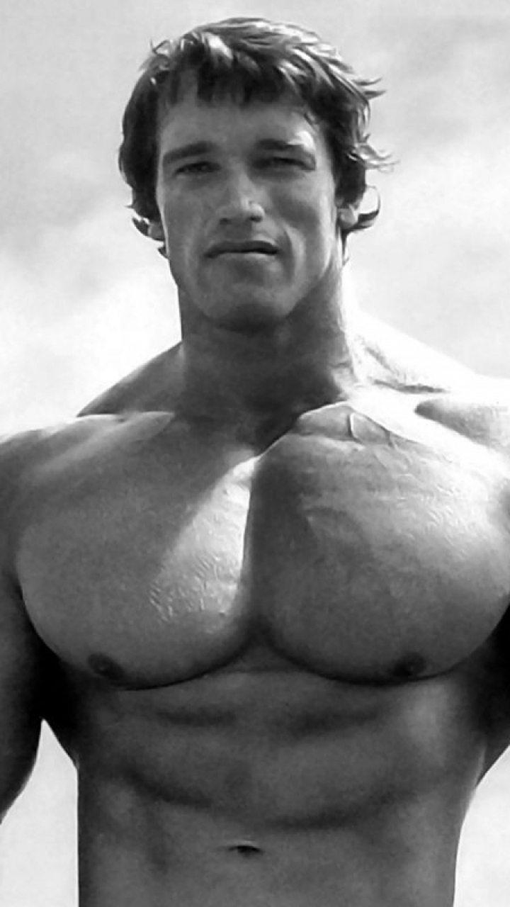 8 Pack Abs Arnold - HD Wallpaper 