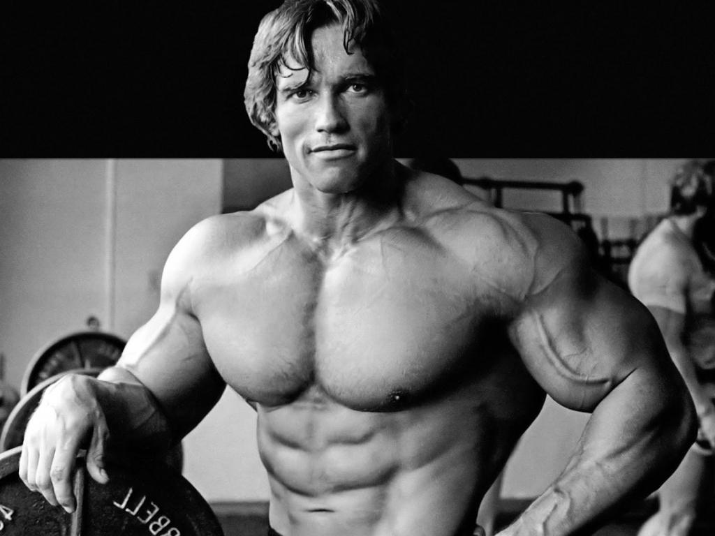 Arnold Schwarzenegger Wallpaper - Arnold Schwarzenegger Bodybuilding ...