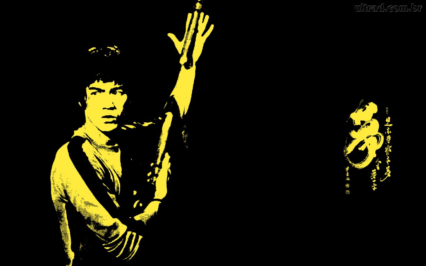 Bruce Lee Wallpapers 4k - HD Wallpaper 