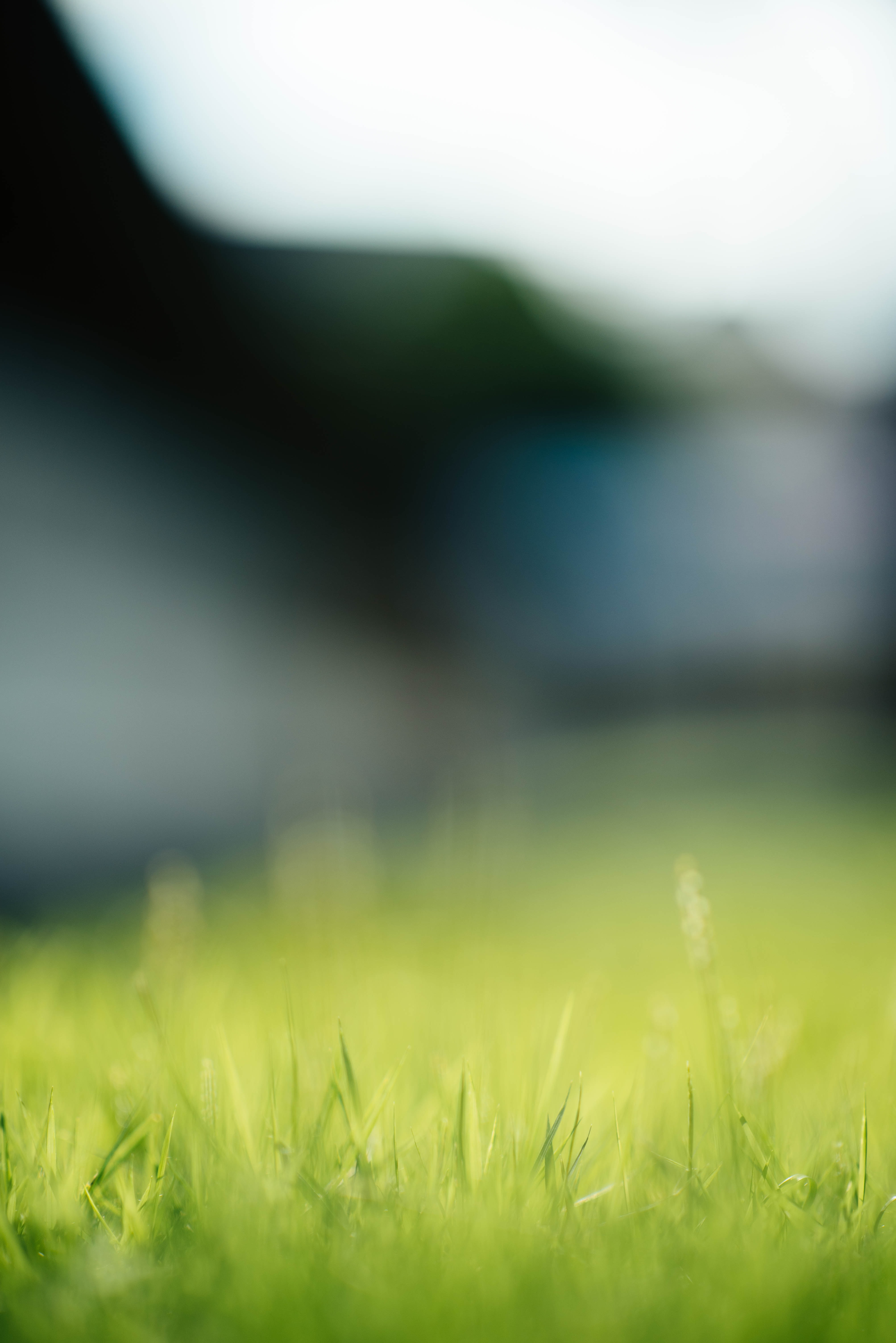 Full Hd Blur Background - HD Wallpaper 