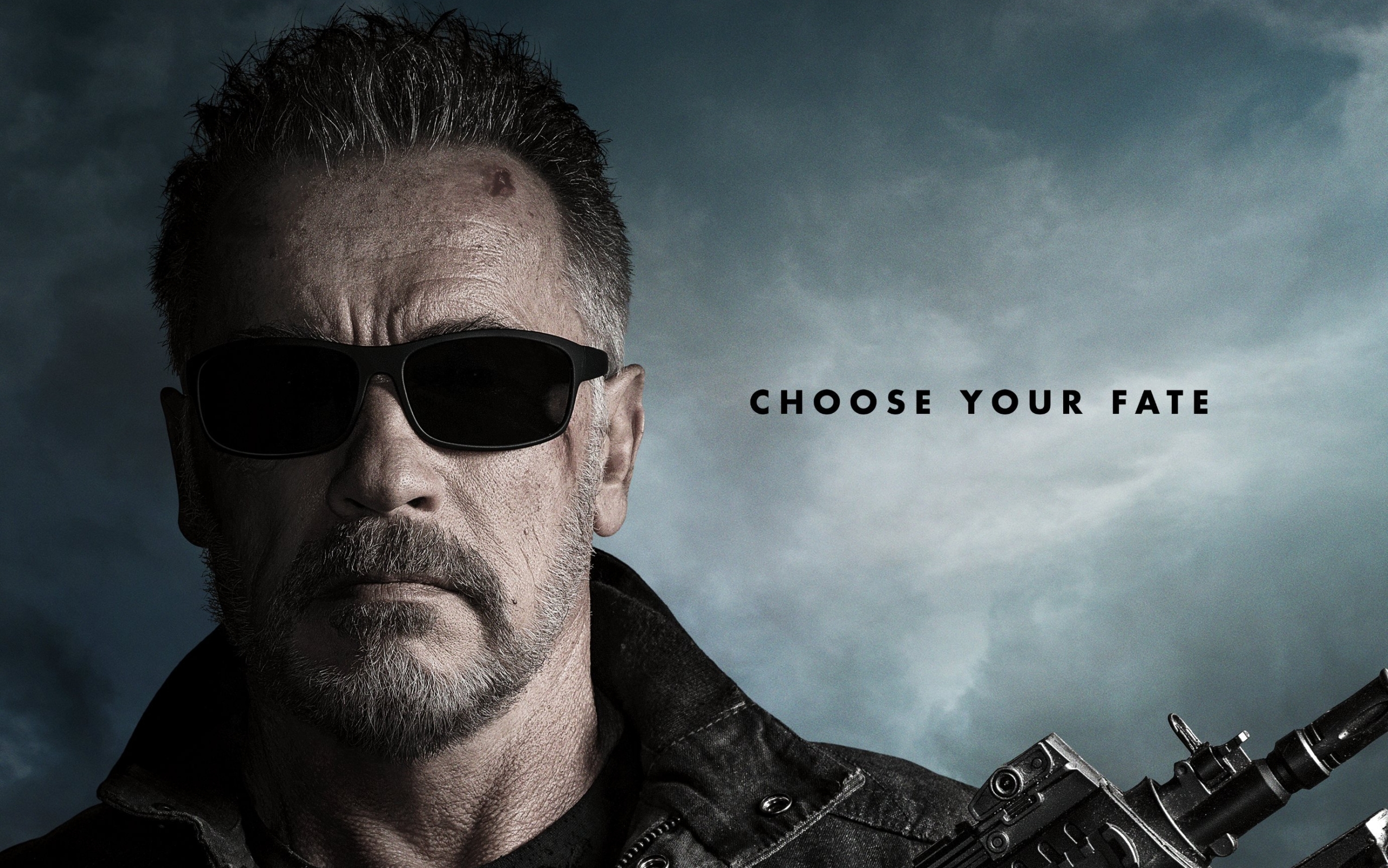 Wallpaper Of Arnold Schwarzenegger, Terminator, Dark - Terminator Dark Fate 2019 - HD Wallpaper 