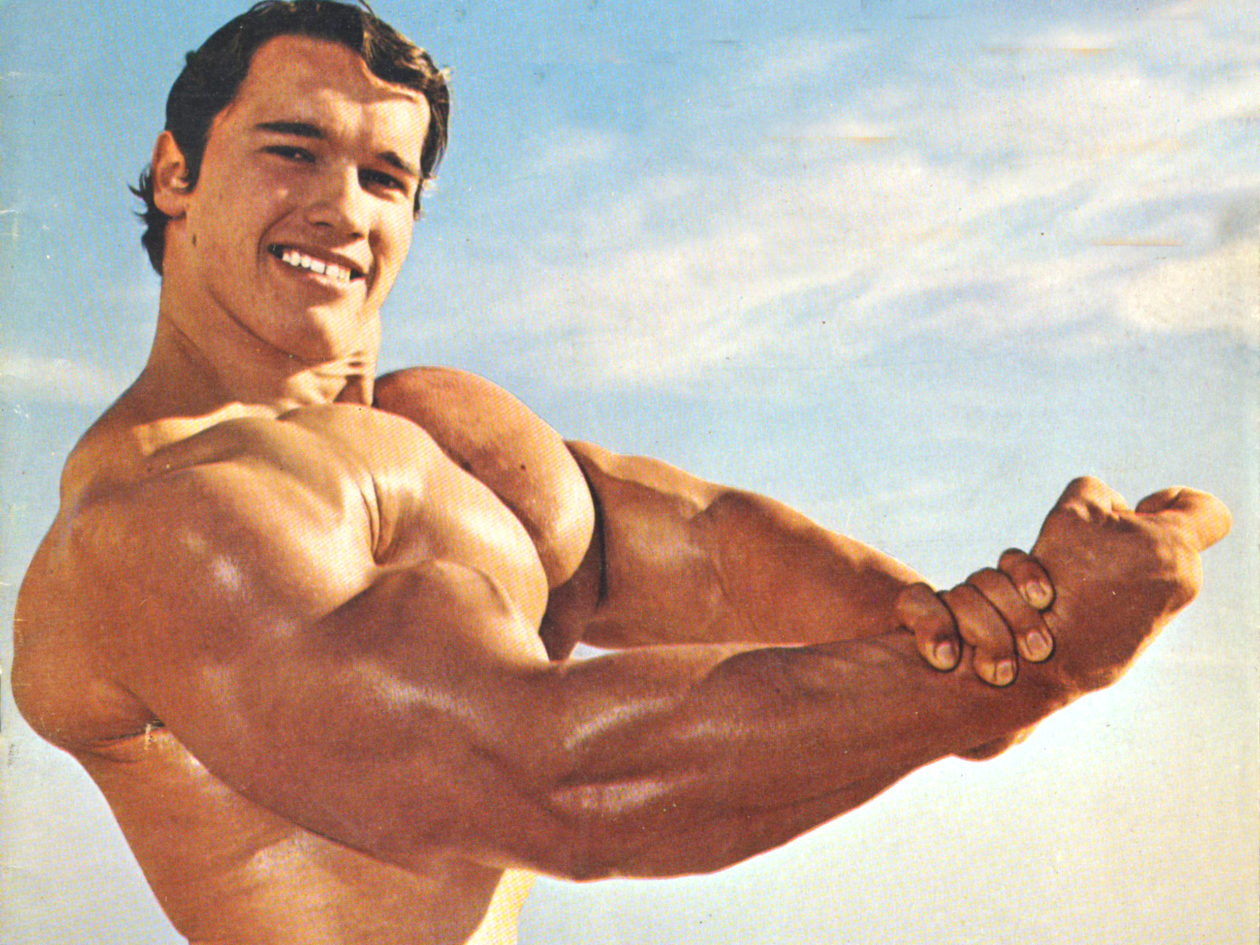 Wallpapers Motivation Arnold Schwarzenegger Bodybuilding - Hollywood Actor Arnold - HD Wallpaper 