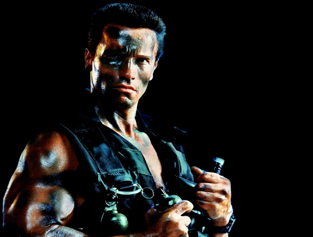 Arnold Schwarzenegger Terminato Hd Wallpaper Background - Arnold Schwarzenegger Hd Terminator - HD Wallpaper 