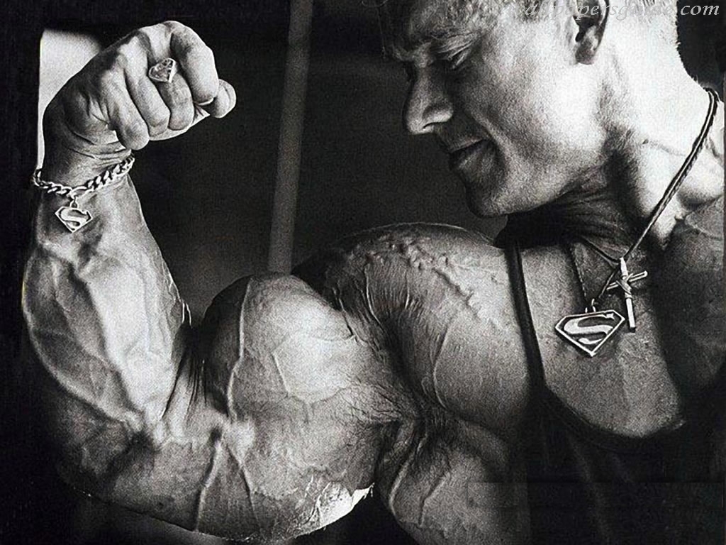 Arnold Schwarzenegger Wallpaper - Lee Priest - 1024x768 Wallpaper - Arnold Schwarzenegger Wallpaper - Lee Priest - 1024x768 Wallpaper -