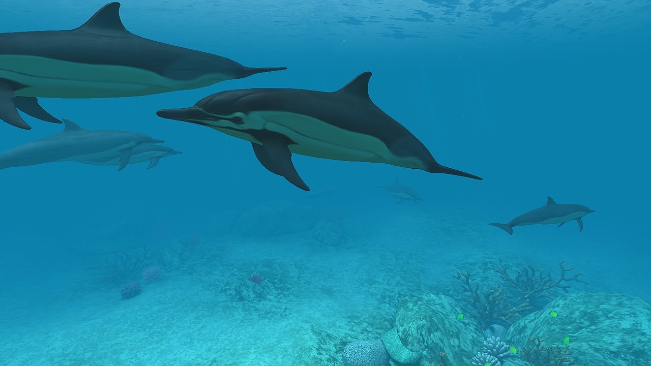 Dolphins 3d Screensaver Amp Live Wallpaper Hd - Dolphin Screen Saver - HD Wallpaper 