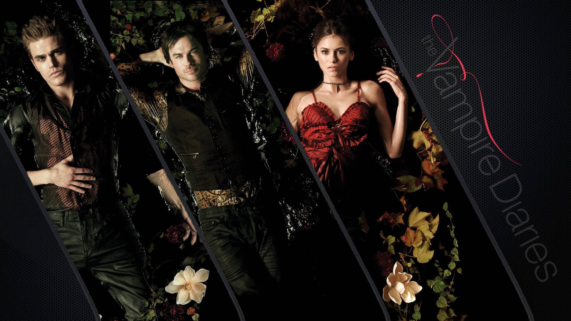 Vampire Diaries Wallpaper Pc - HD Wallpaper 