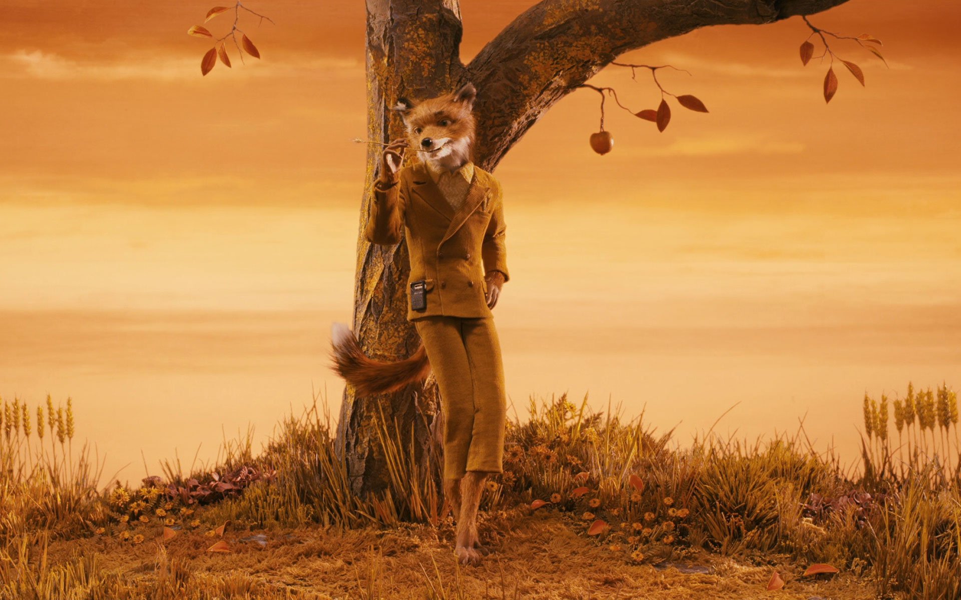 Fantastic Mr Fox - HD Wallpaper 