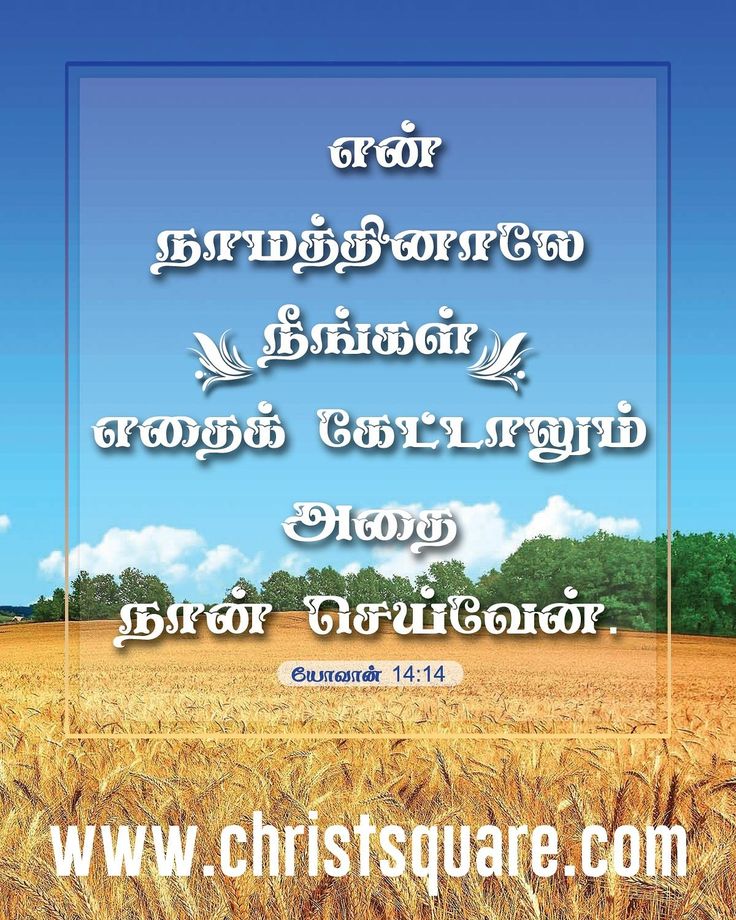 Tamil Strength Quotes On Bible Wallpapers, Christian - Bible Quotes In Tamil - HD Wallpaper 