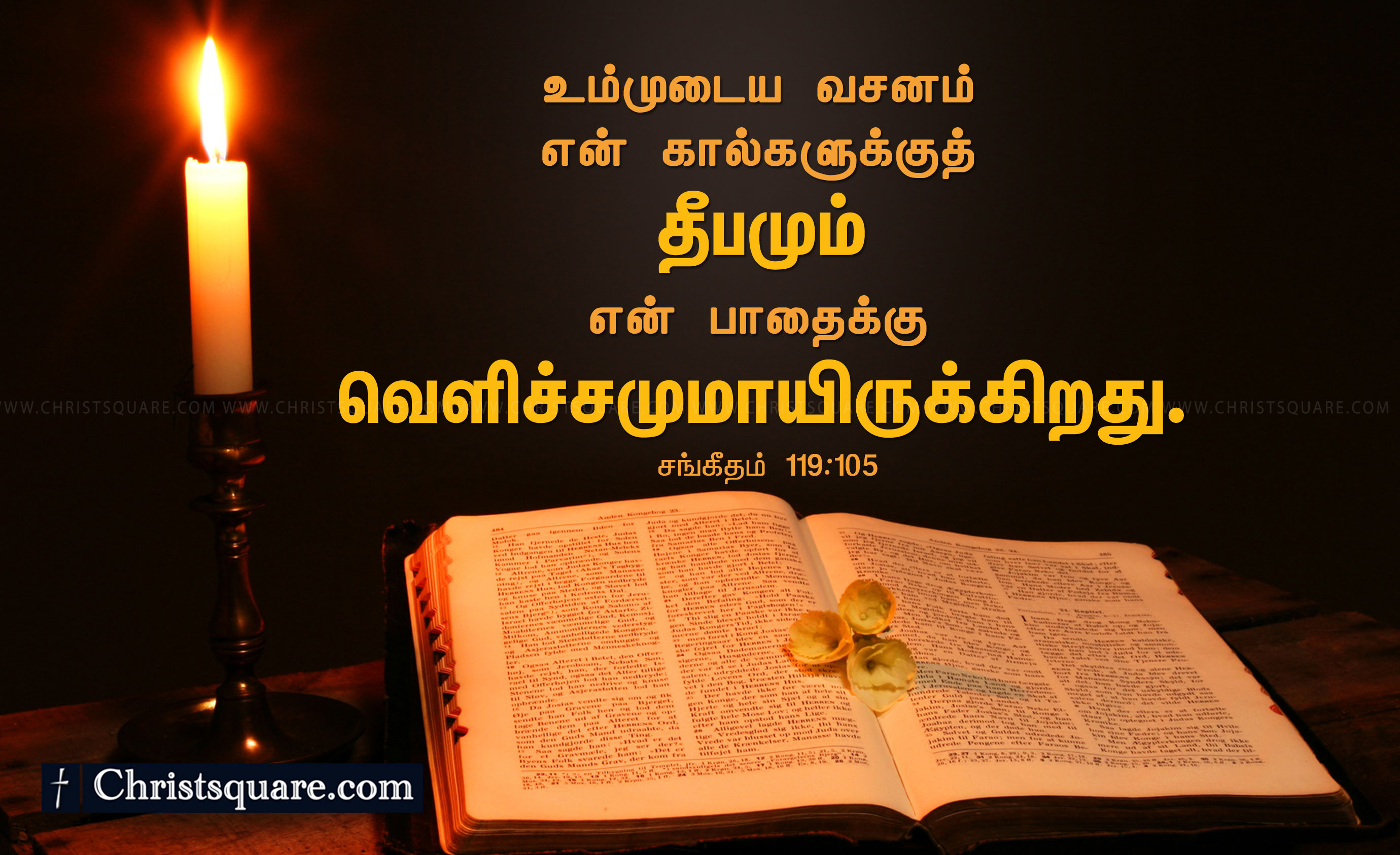 Bible Verse Tamil Christian - HD Wallpaper 