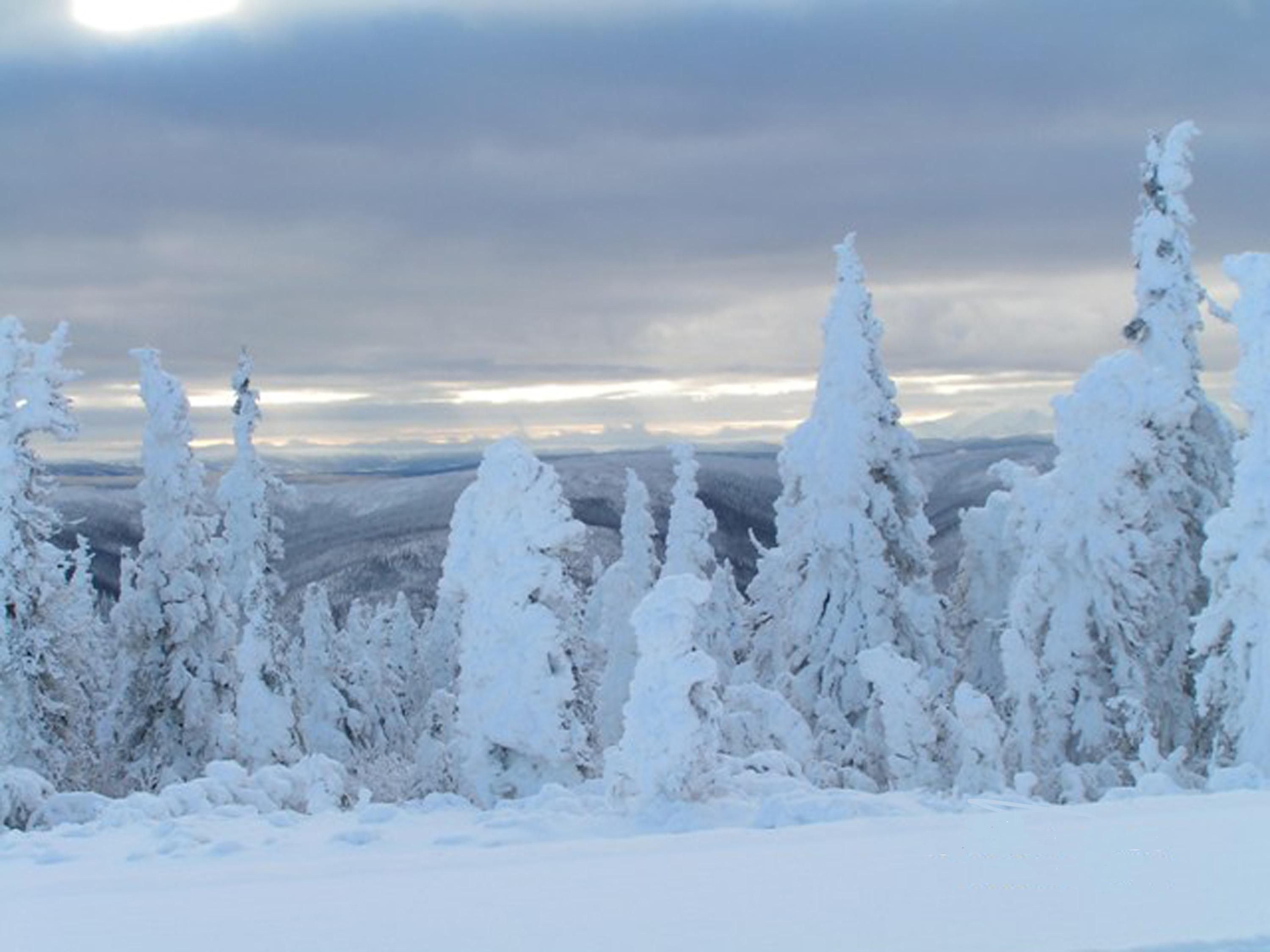 Keep Yule In Yuletide - HD Wallpaper 