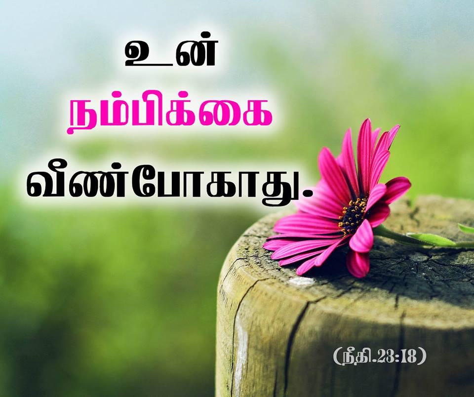 Jesus Vasanam Images Download 960x804 Wallpaper Teahub io jesus-vasanam-images-download-960x804-wallpaper-teahub-io
