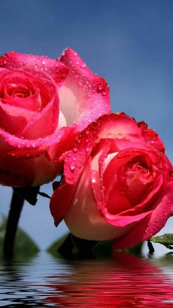 Nokia C1 Wallpaper Download - 576x1024 Wallpaper Nokia C1 Wallpaper Download - 576x1024 Wallpaper