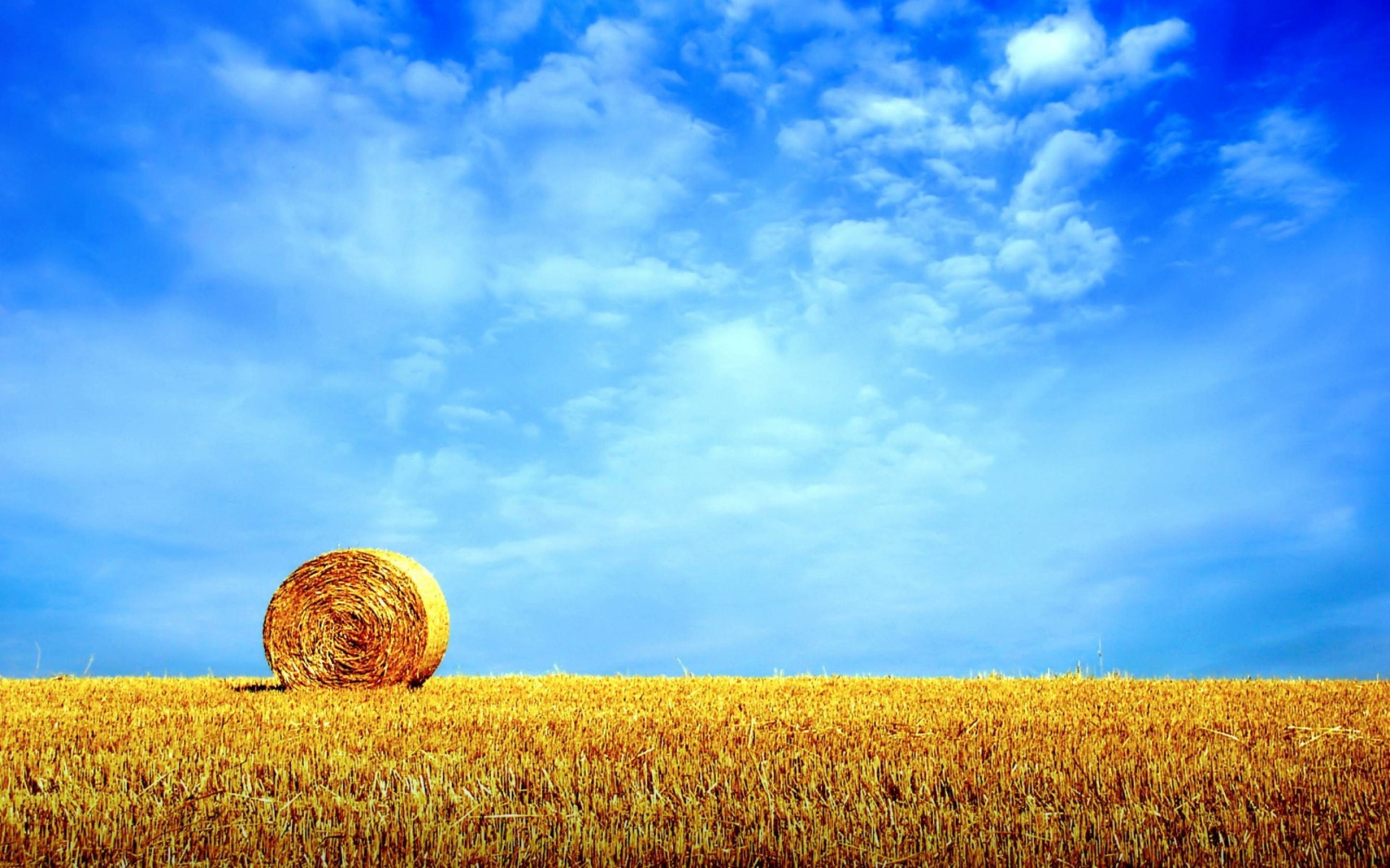 Summer Desktop Wallpaper Background Hd - High Resolution Wheat Field - HD Wallpaper 