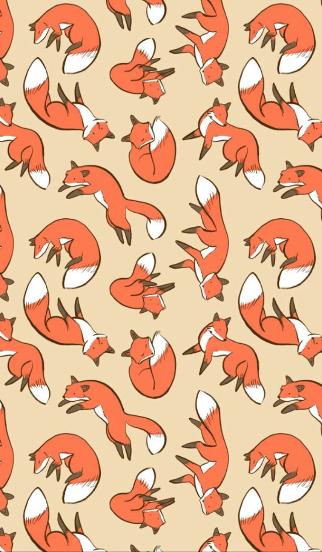 Fox Wallpaper Phone - HD Wallpaper 