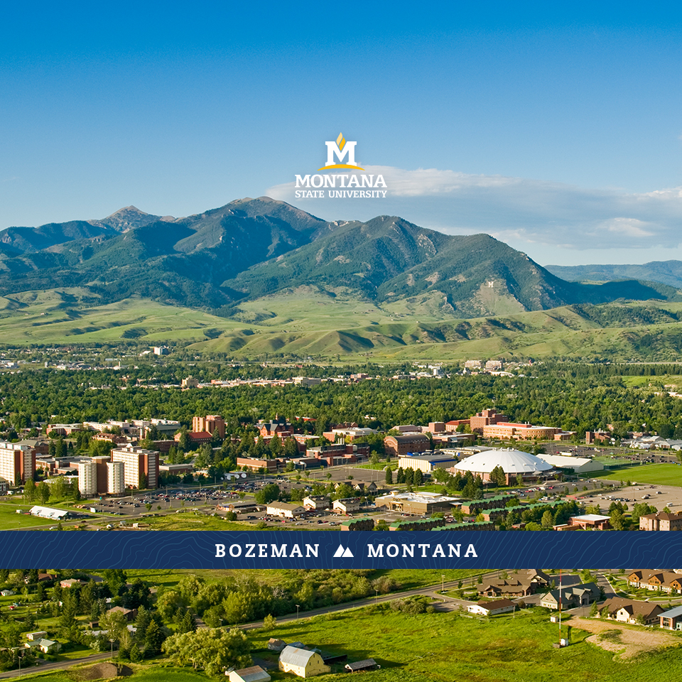 Escorts In Bozeman