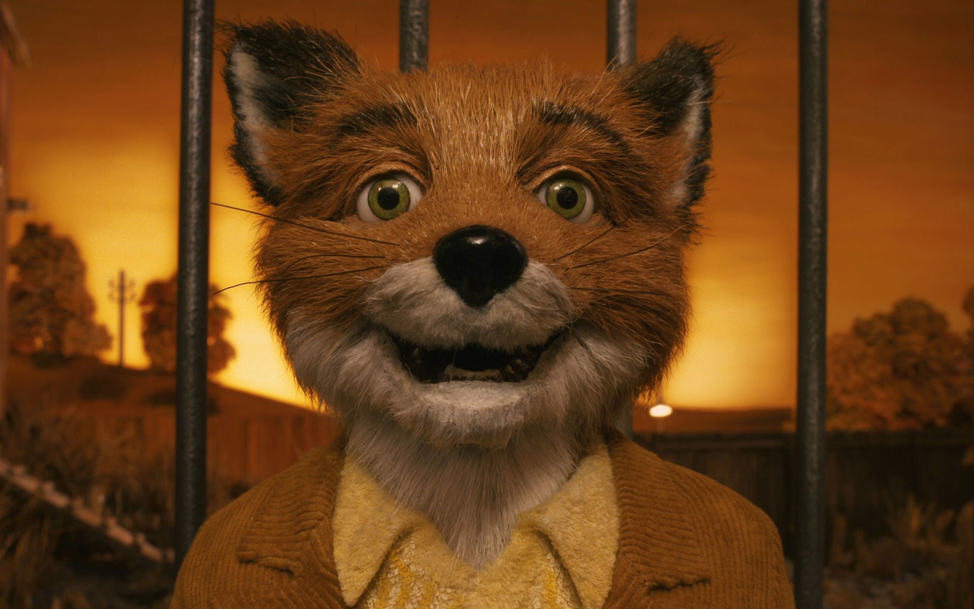 Mr Fox From Fantastic Mr Fox - HD Wallpaper 