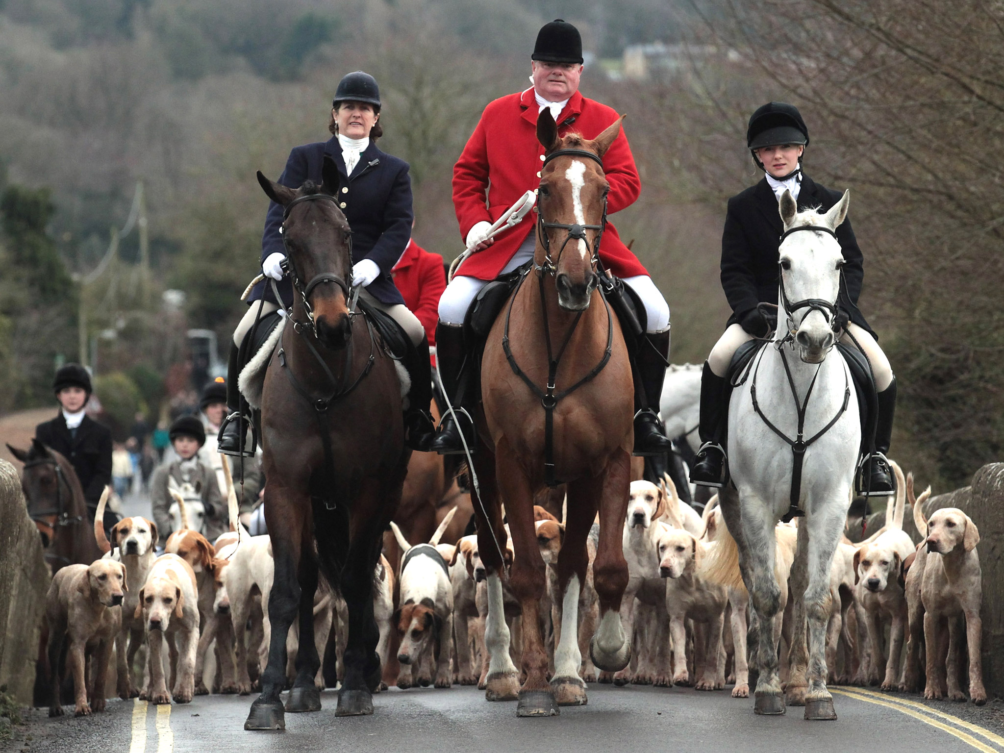 England Fox Hunting - HD Wallpaper 