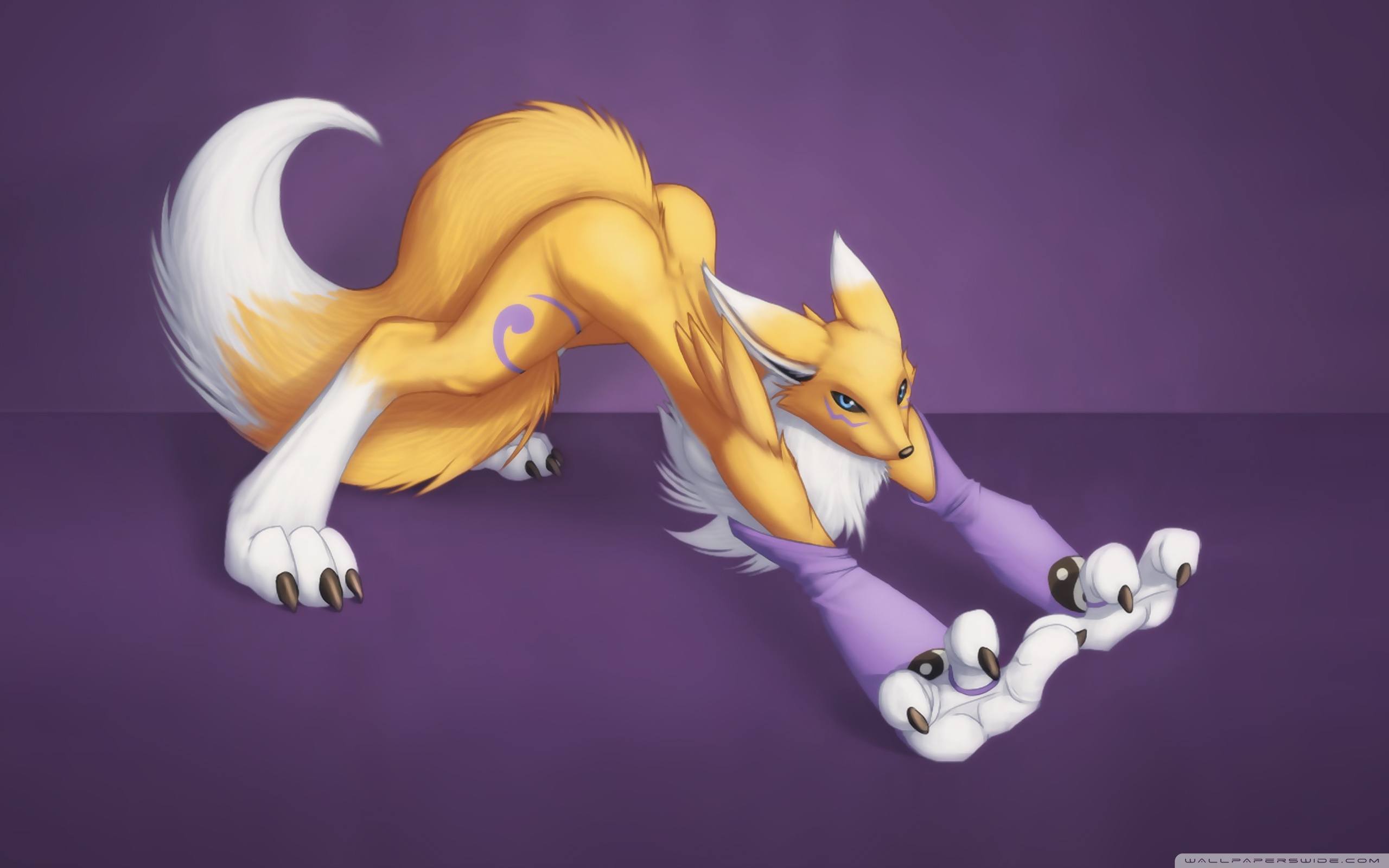Renamon Art - HD Wallpaper 
