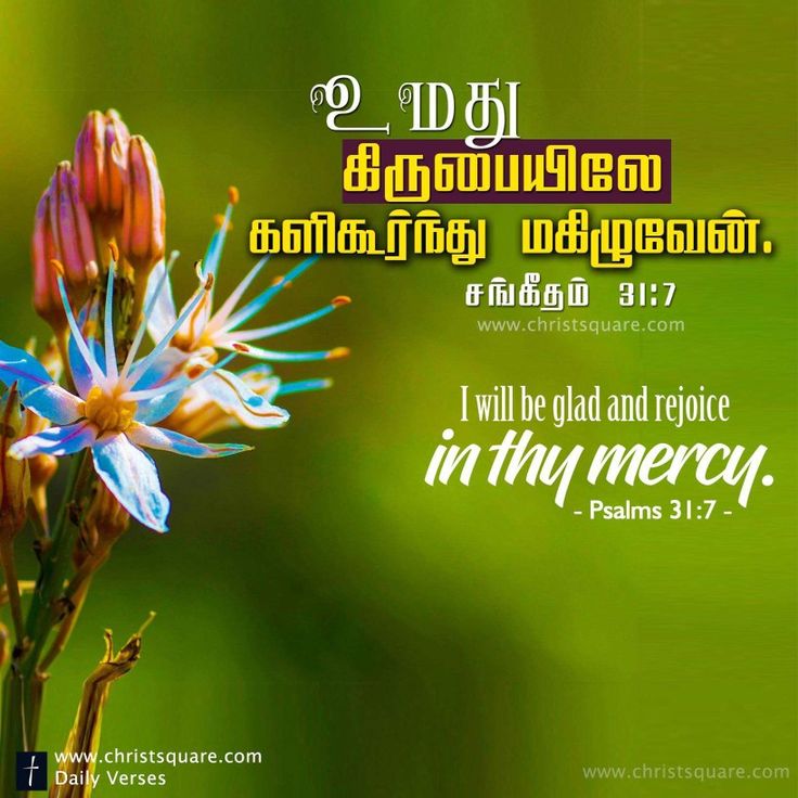 Bible Vasanam In Tamil - HD Wallpaper 