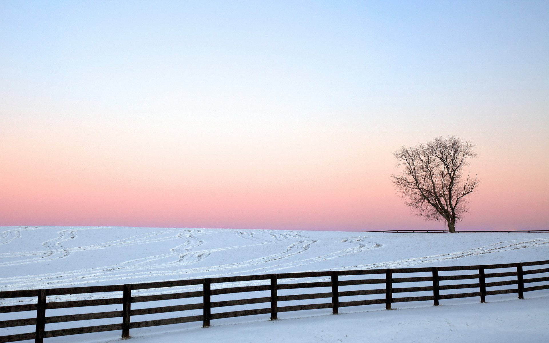 Winter Trees Sunrise - HD Wallpaper 