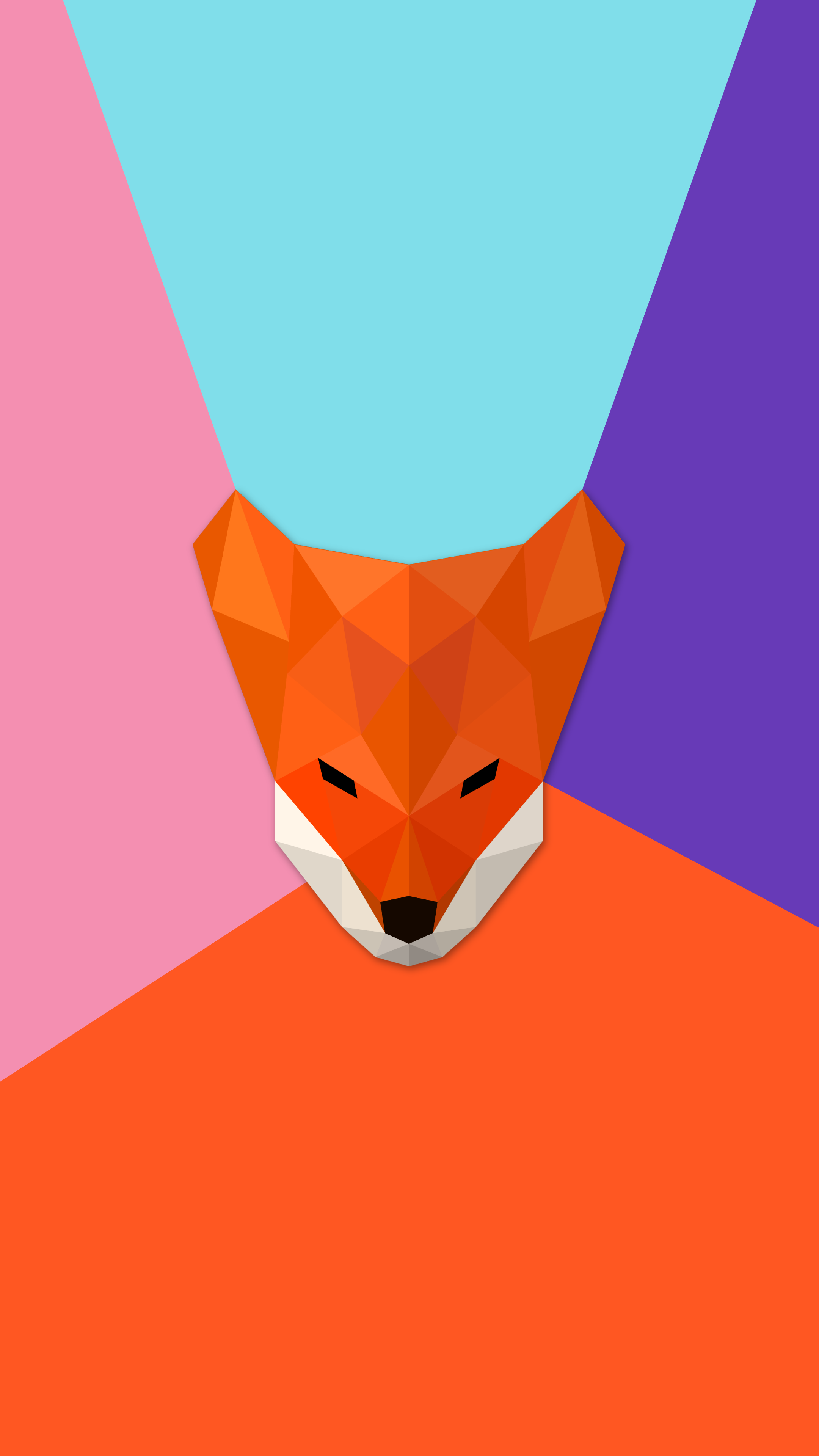 Red Fox - 2160x3840 Wallpaper - teahub.io