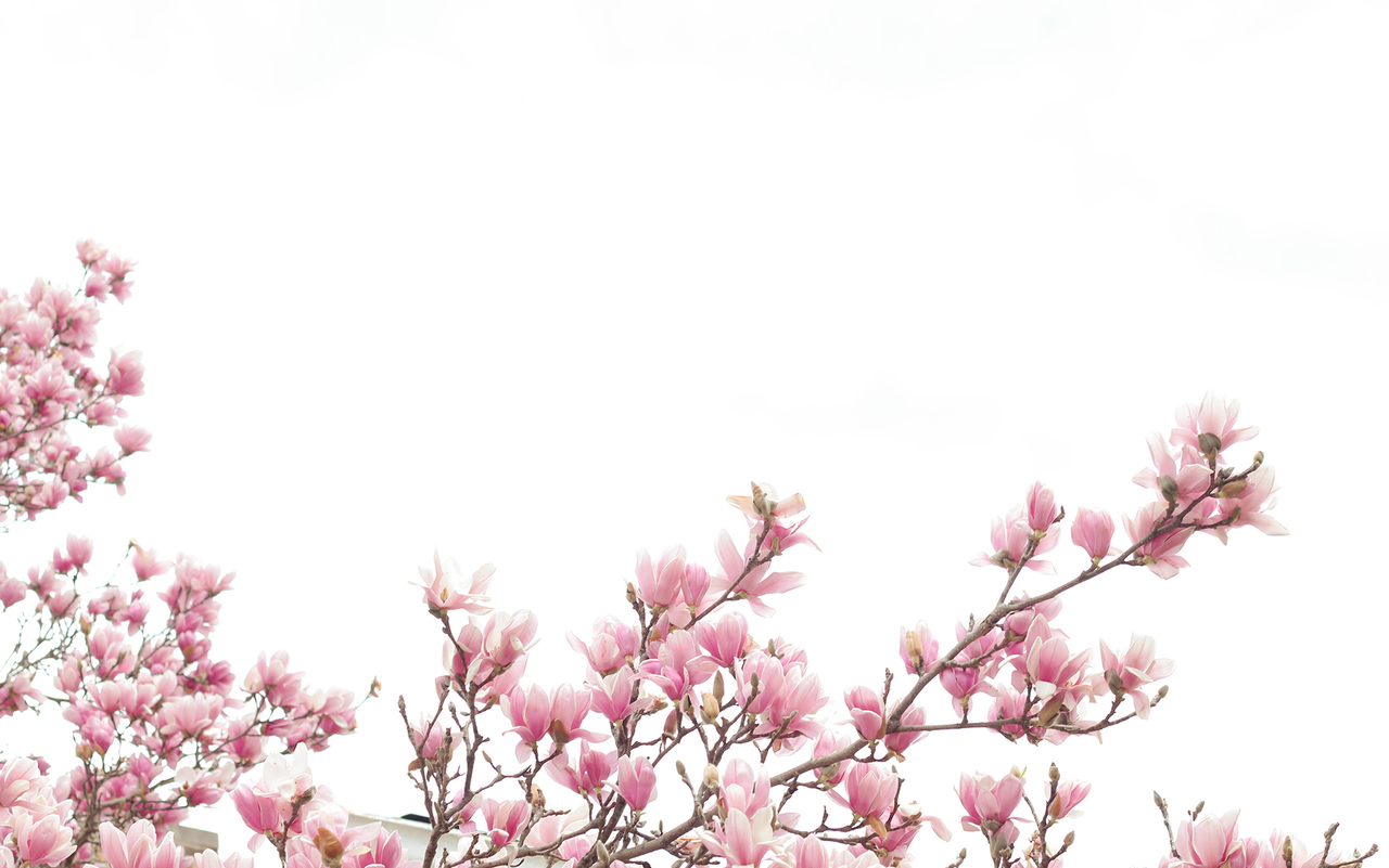 Air, Inspiration, And Iphone Image - Фон Для Сторис Весна - HD Wallpaper 