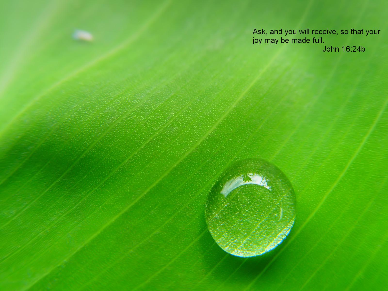 Quotes On Water Drops On Leaves - HD Wallpaper 