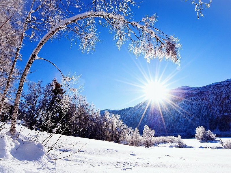 Winter Snow Wallpaper Hd - Winter Background Clear - HD Wallpaper 