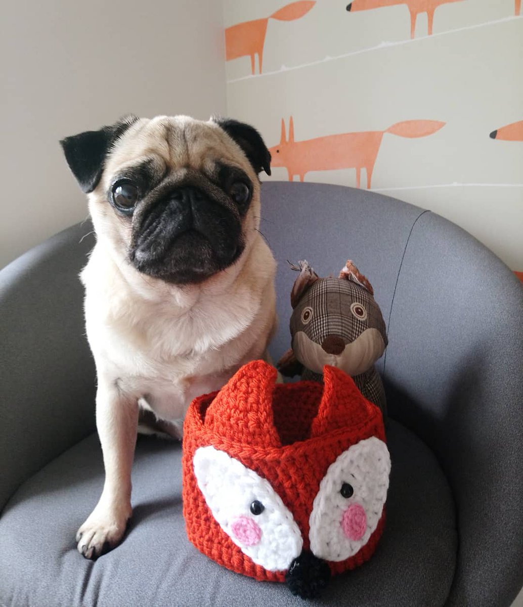 Pug - HD Wallpaper 