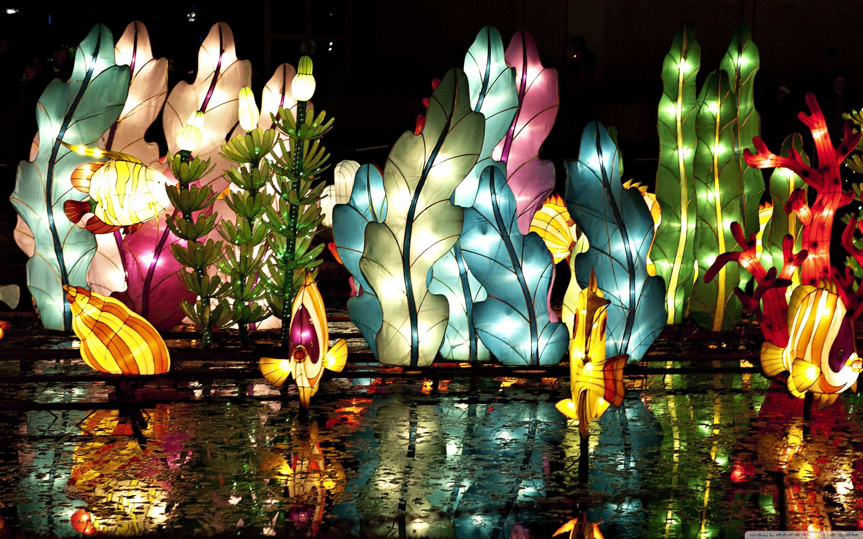 Chinese Lantern Wallpaper Hd - HD Wallpaper 