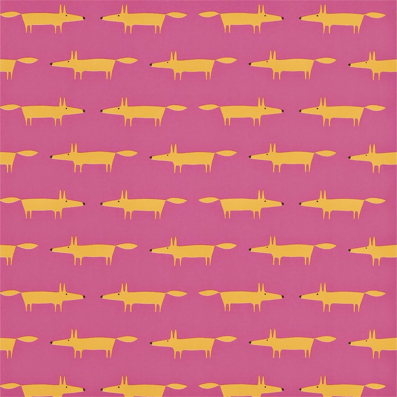 Wallpaper - HD Wallpaper 