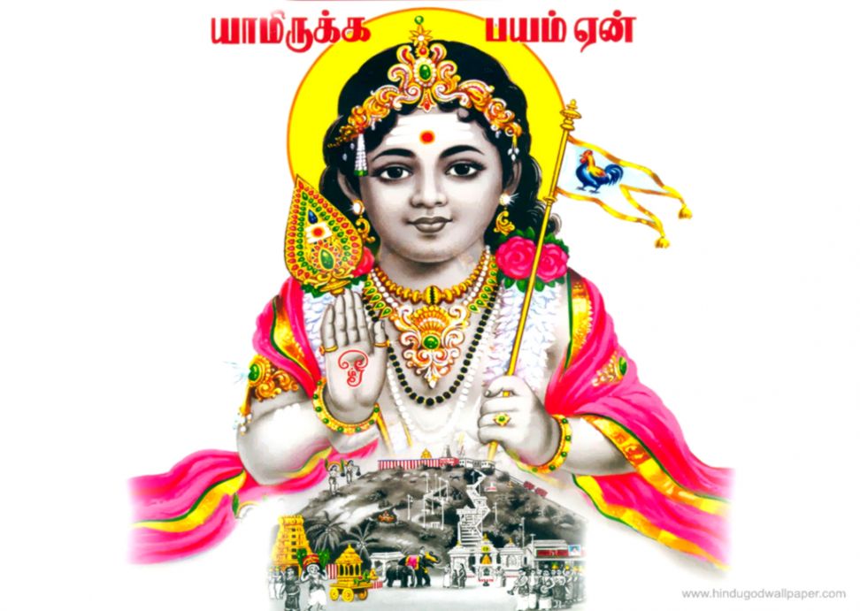 Tamil God Murugan Wallpaper Free Download - Lord Murugan - 972x691 Wallpaper  
