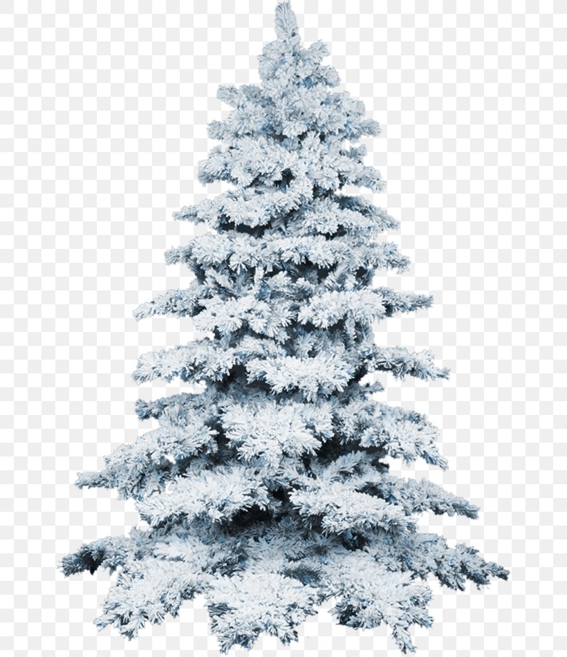 Christmas Tree Snow Wallpaper, Png, 658x950px, Tree, - Realistic Christmas Tree Transparent Background - HD Wallpaper 