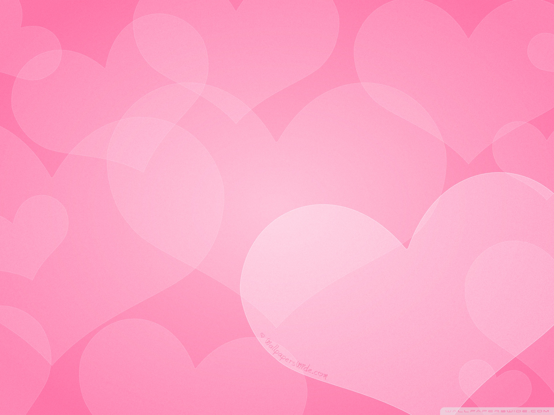 Wallpaper - HD Wallpaper 