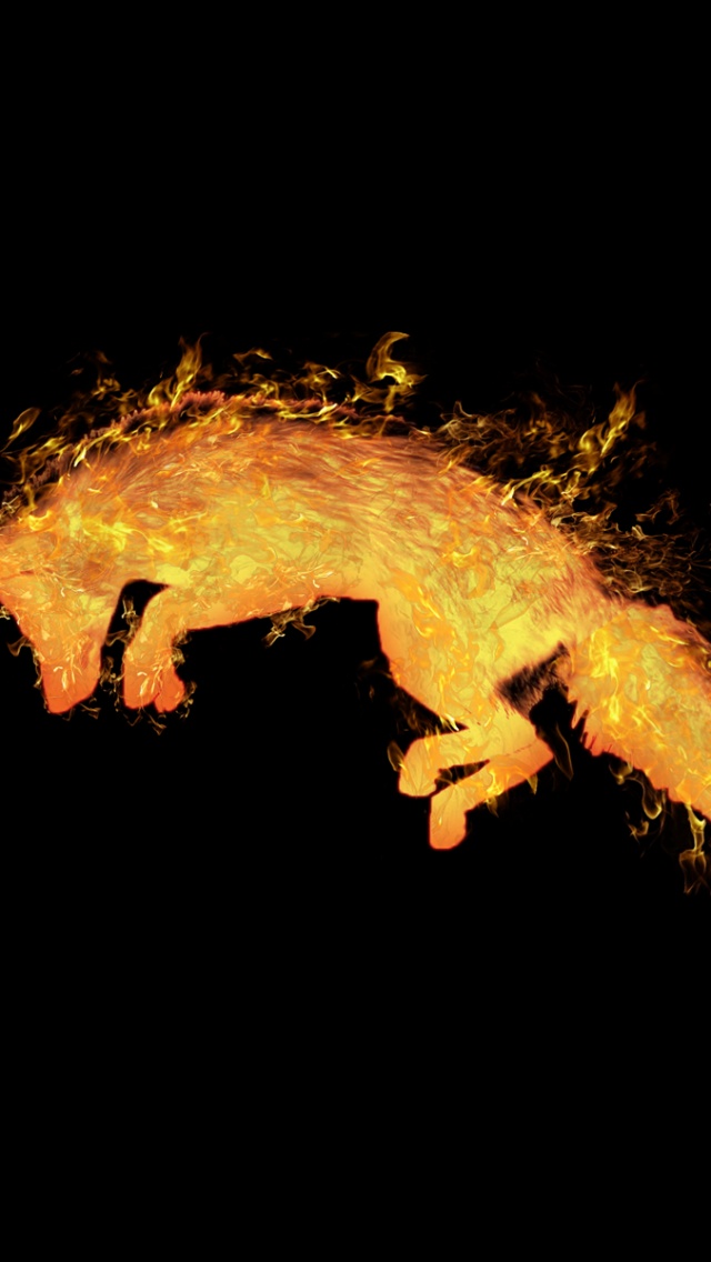 Fox Wallpaper Iphone - HD Wallpaper 