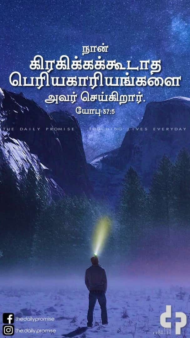 Poster - HD Wallpaper 