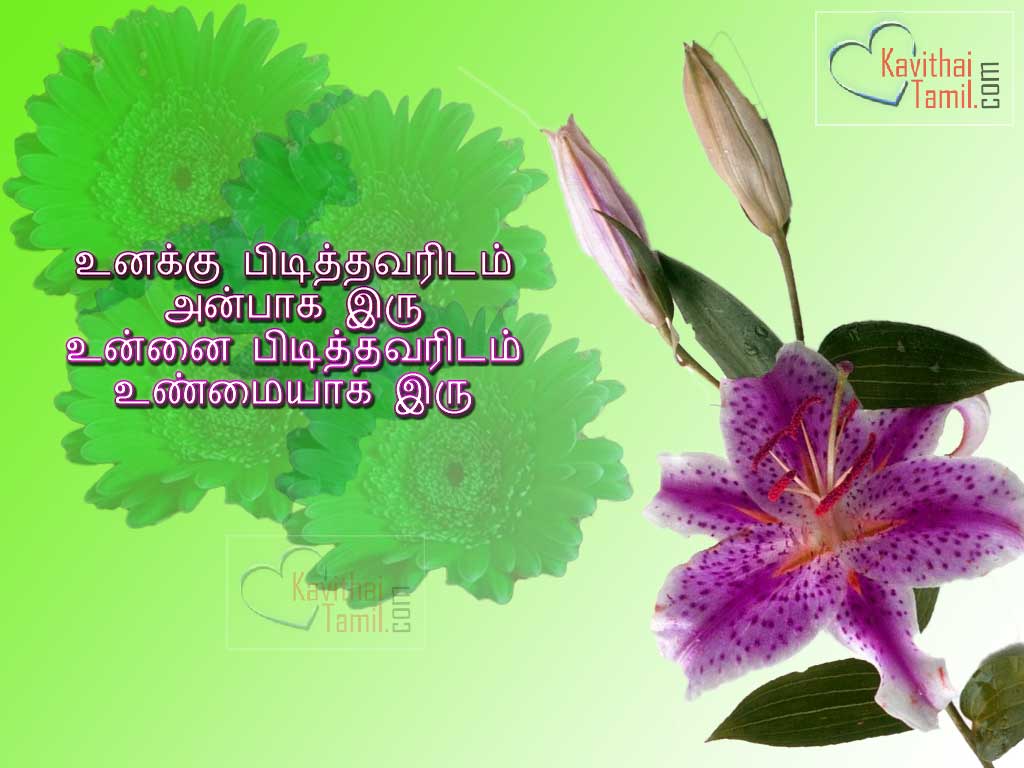 kavithai in tamil font kavithai in tamil font