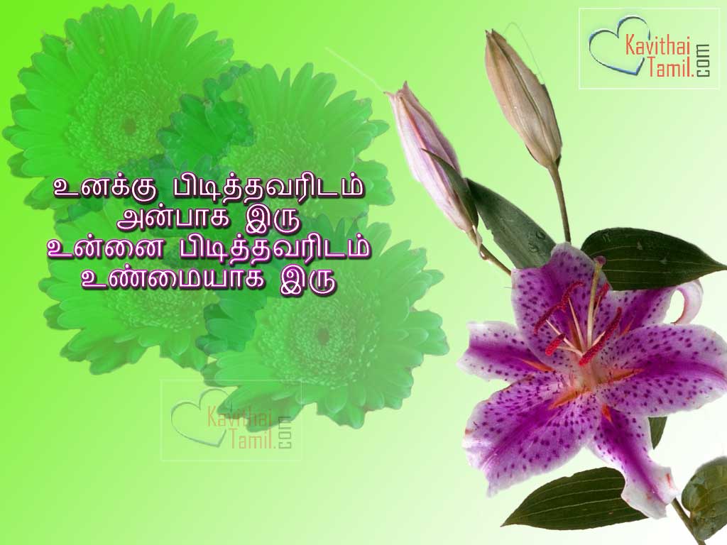 Wallpapers Facebook Tamil Amma Font Kavithai Kavithaikal - Tiger Lily - HD Wallpaper 