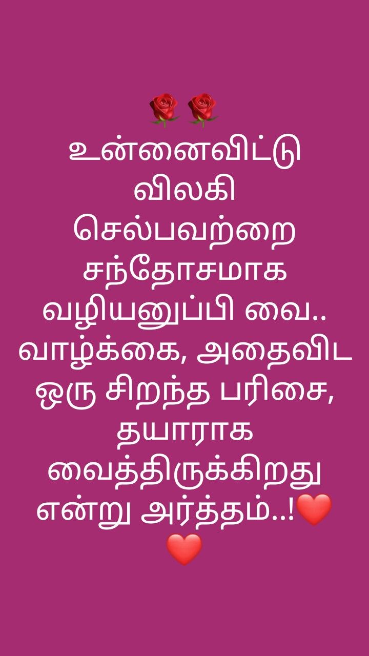 Lilac - HD Wallpaper 