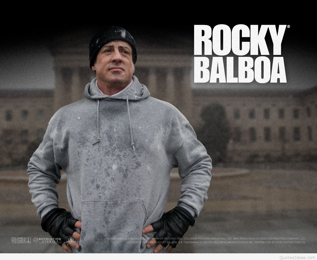 Sylvester Stallone Wallpapers Hd - HD Wallpaper 
