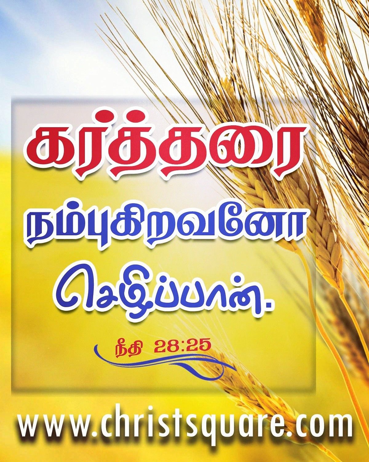 Bible Quotes In Tamil Wallpaper - 1200x1500 Wallpaper Bible Quotes In Tamil Wallpaper - 1200x1500 Wallpaper
