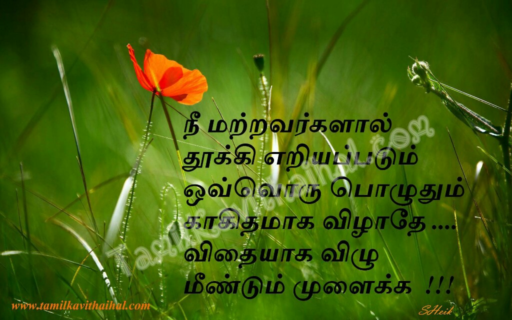 Vidhayga Vilu Thooki Eriayapadum Podu Motivational - Wikisource - HD Wallpaper 