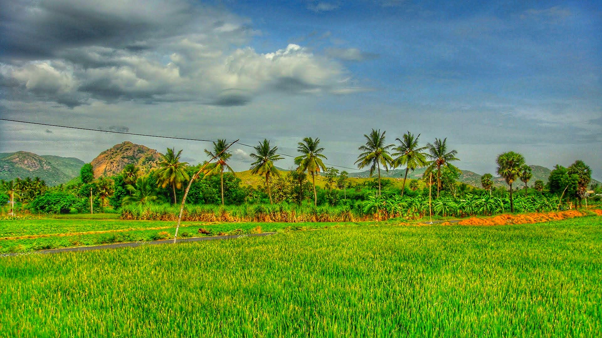 Tamil Village Images Hd 1920x1080 Wallpaper Teahub io tamil-village-images-hd-1920x1080-wallpaper-teahub-io
