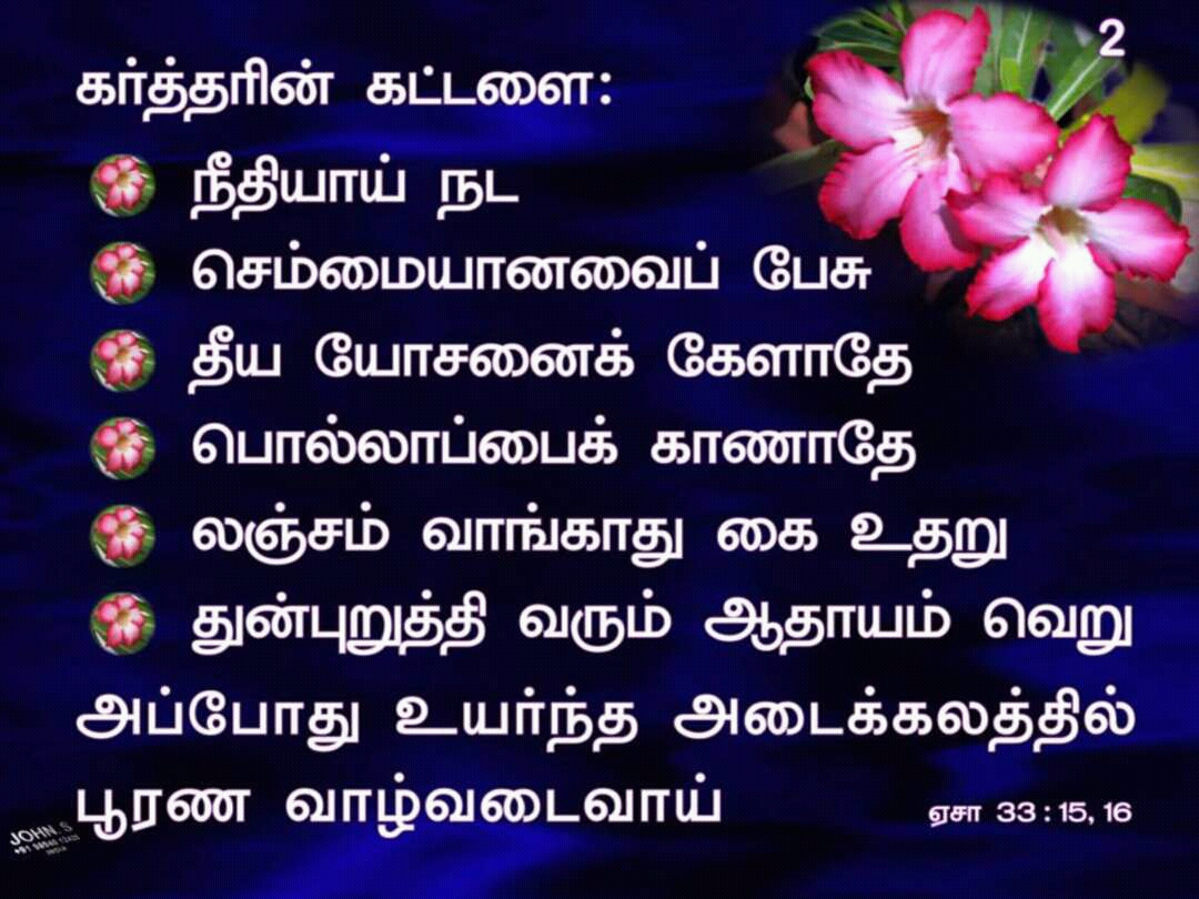 1 John 4 4 In Tamil - HD Wallpaper 