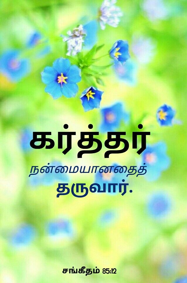 Bible Words In Tamil - HD Wallpaper 
