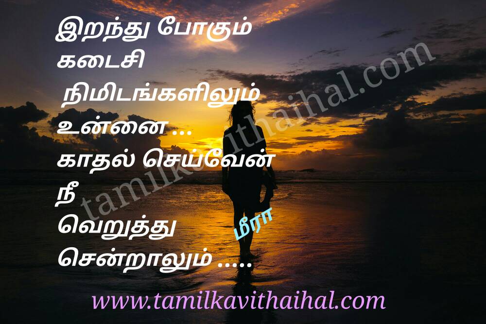 Nthabeleng - HD Wallpaper 