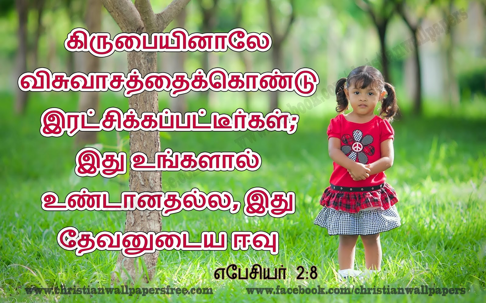 Jesus Bible Words Tamil - HD Wallpaper 