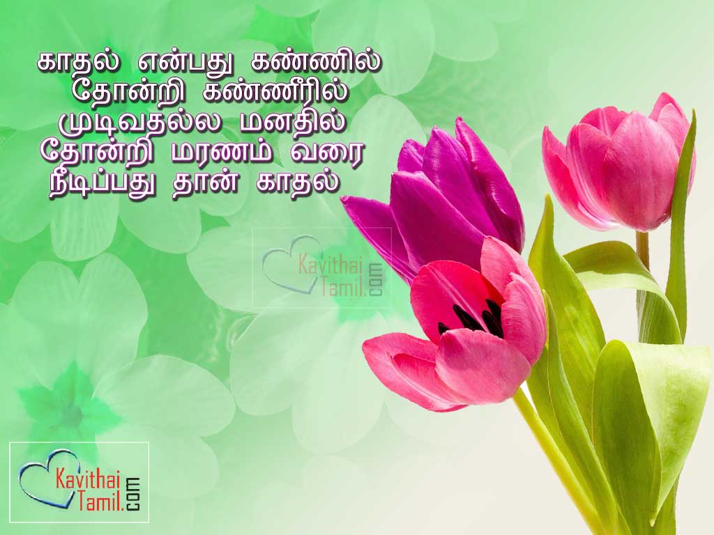 Happy Kavithaigal In Tamil - HD Wallpaper 